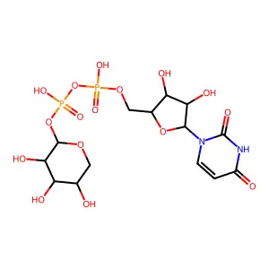 Udp xylose structure