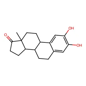 2-HYDROXYESTRONE structure