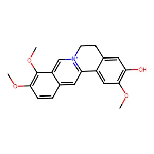 Jatrorrhizine structure