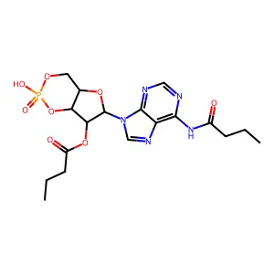 bucladesine structure