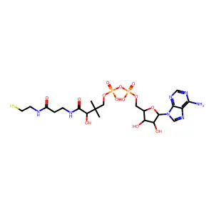 Dephospho coa structure