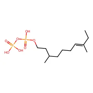dolichyl diphosphate structure