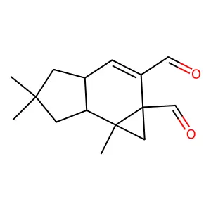 Isovelleral structure