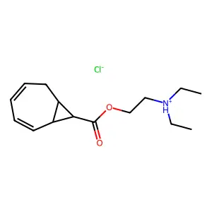 MP 19 structure