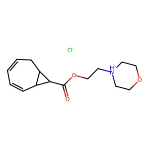 MP 21 structure