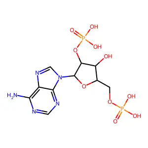 Phosphoric acid mono-[2-(6-amino-purin-9-yl)-4-hydroxy-5-phosphonooxymethyl-tetrahydro-furan-3-yl] ester structure