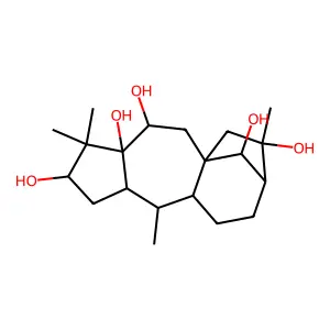 alpha-Dihydrograyanotoxin II structure