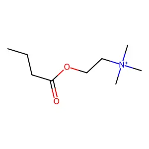 butyrylcholine structure