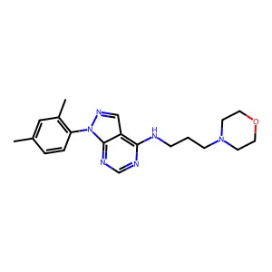 1-(2,4-dimethylphenyl)-N-[3-(morpholin-4-yl)propyl]-1H-pyrazolo[3,4-d]pyrimidin-4-amine structure