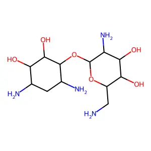 Neamine structure