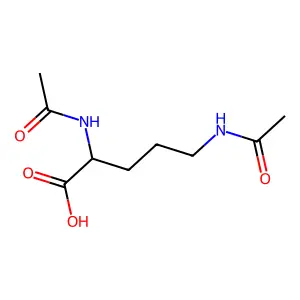 Bisorcic structure