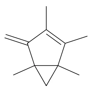 1,3,4,5-Tetramethyl-2-methylenebicyclo(3.1.0)hex-3-ene structure