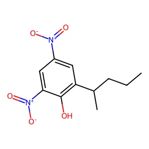 Dinosam structure