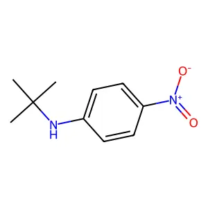 N-tert-butyl-4-nitroaniline structure