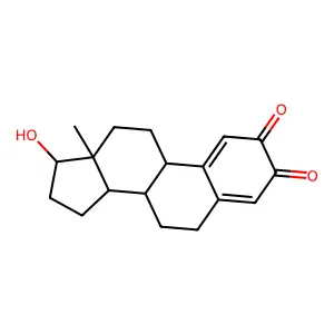 Estradiol-2,3-quinone structure