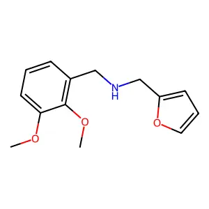 1-(2,3-dimethoxyphenyl)-N-(furan-2-ylmethyl)methanamine structure