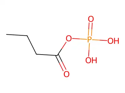 butanoyl phosphate structure