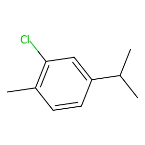 Compound C10H13Cl structure