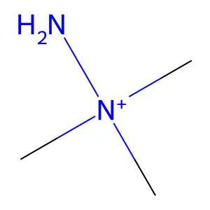 amino(trimethyl)azanium structure