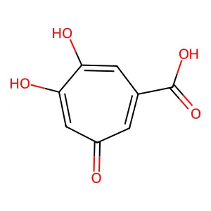 Stipitatic acid structure