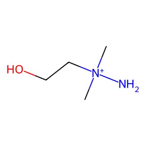 N-Aminodeanol structure