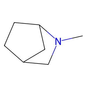 Thancat AN 10 structure