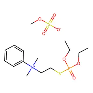 GT 45 structure
