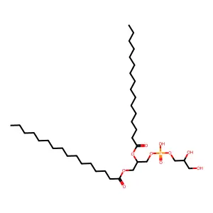 Dipalmitoylphosphatidylglycerol structure