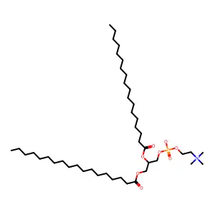 1,2-Distearoyllecithin structure