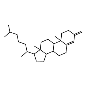 10,13-dimethyl-17-(6-methylheptan-2-yl)-3-methylidene-1,2,6,7,8,9,11,12,14,15,16,17-dodecahydrocyclopenta[a]phenanthrene structure