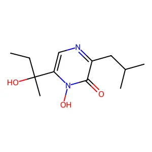 Hhmmpp structure