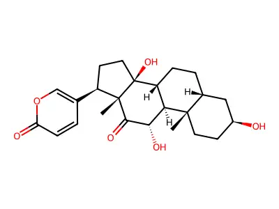 Arenobufagin structure