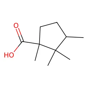 1,2,2,3-tetramethylcyclopentane-1-carboxylic acid structure