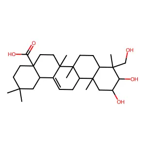 Arjunolic acid structure