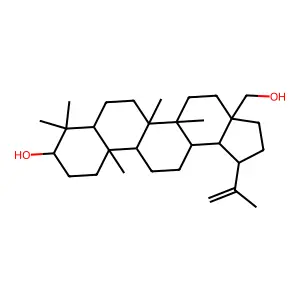 Betulin structure