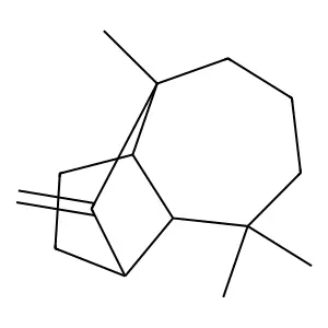 Kuromatsuene structure