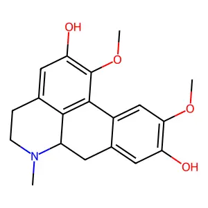 Boldine structure