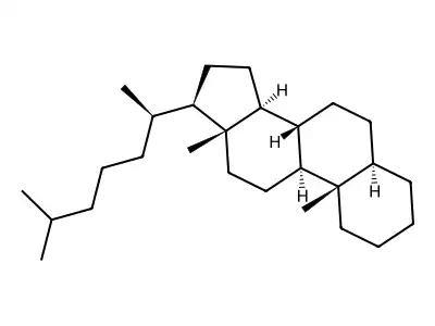 Cholestane structure