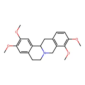 tetrahydropalmatine structure