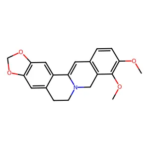 Dihydroberberine structure
