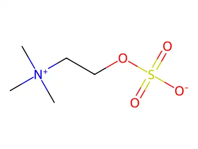 choline sulfate structure