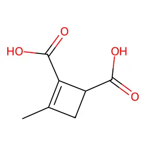 3-methylcyclobut-2-ene-1,2-dicarboxylic acid structure