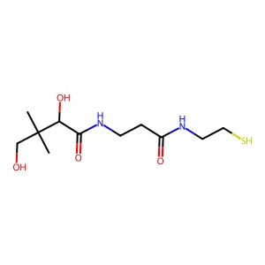 pantetheine structure