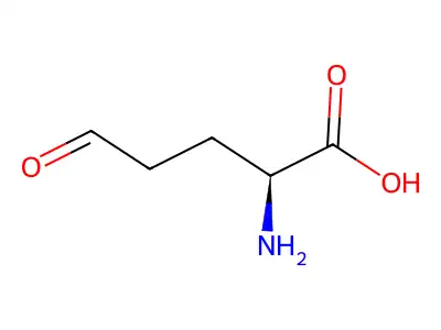 5-Oxonorvaline structure