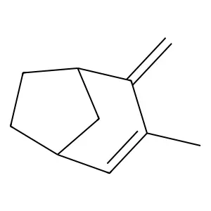 Compound C10H14 structure