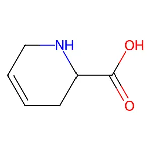 1,2,3,6-tetrahydropyridine-2-carboxylic acid structure