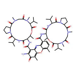 actinomycin D structure