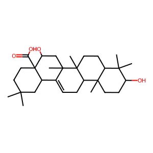Echinocystic acid structure