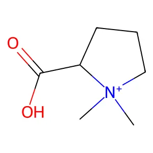 1,1-DIMETHYL-PROLINIUM structure