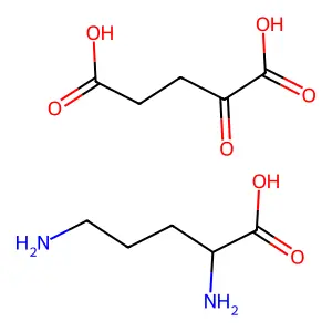 (2S)-2,5-diaminopentanoic acid2-oxopentanedioic acid structure